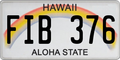 HI license plate FIB376