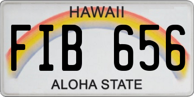 HI license plate FIB656