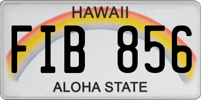 HI license plate FIB856