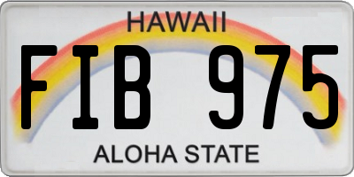 HI license plate FIB975