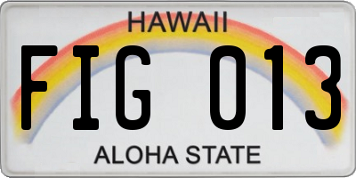 HI license plate FIG013