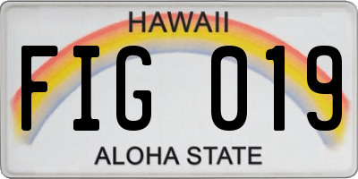 HI license plate FIG019