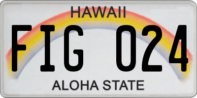 HI license plate FIG024