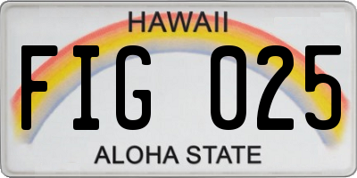 HI license plate FIG025