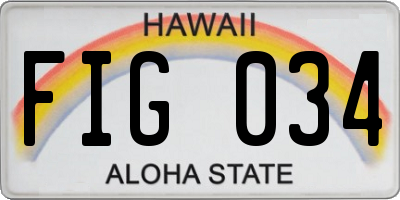 HI license plate FIG034