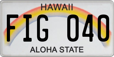 HI license plate FIG040