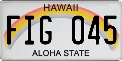 HI license plate FIG045
