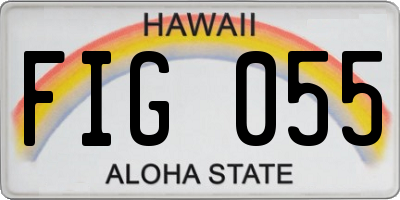 HI license plate FIG055