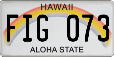 HI license plate FIG073