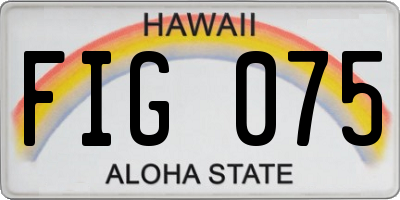 HI license plate FIG075