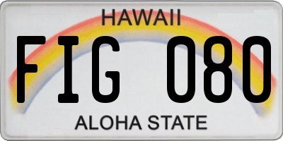 HI license plate FIG080