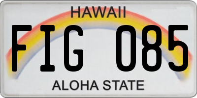 HI license plate FIG085