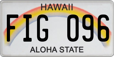 HI license plate FIG096