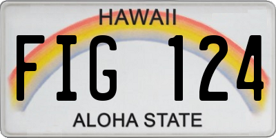HI license plate FIG124