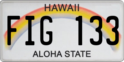 HI license plate FIG133