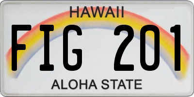 HI license plate FIG201