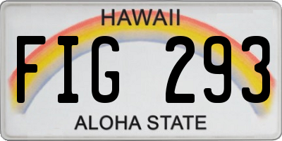 HI license plate FIG293