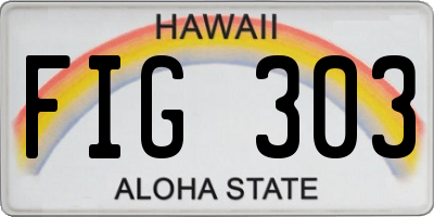 HI license plate FIG303
