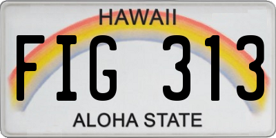 HI license plate FIG313