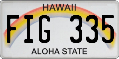 HI license plate FIG335