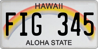 HI license plate FIG345