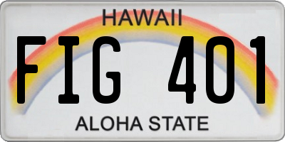 HI license plate FIG401