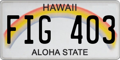 HI license plate FIG403