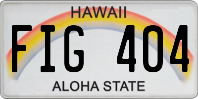 HI license plate FIG404