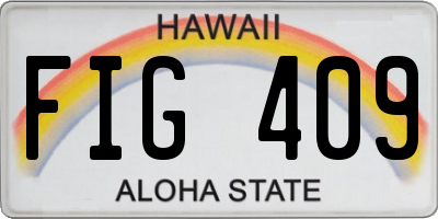 HI license plate FIG409