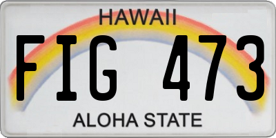 HI license plate FIG473