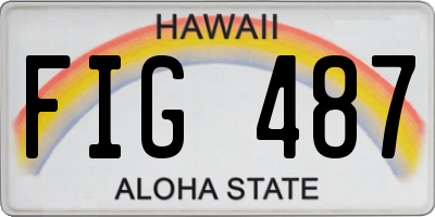 HI license plate FIG487