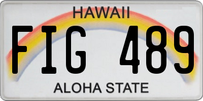 HI license plate FIG489