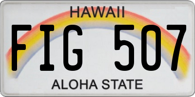 HI license plate FIG507
