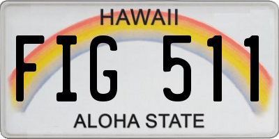 HI license plate FIG511