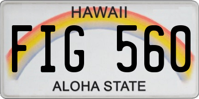 HI license plate FIG560