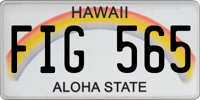 HI license plate FIG565
