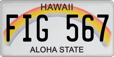 HI license plate FIG567