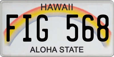 HI license plate FIG568