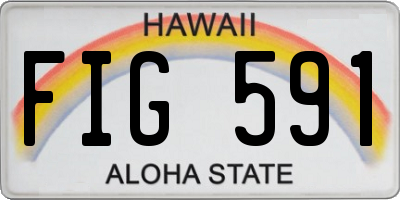 HI license plate FIG591