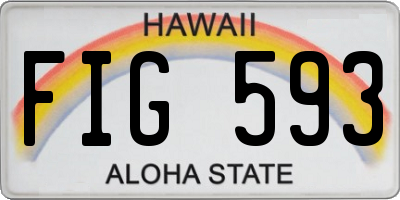 HI license plate FIG593