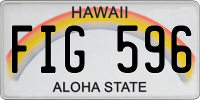 HI license plate FIG596