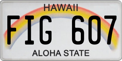 HI license plate FIG607