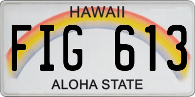 HI license plate FIG613