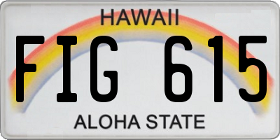 HI license plate FIG615