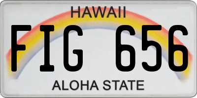 HI license plate FIG656