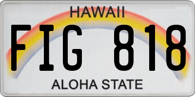 HI license plate FIG818