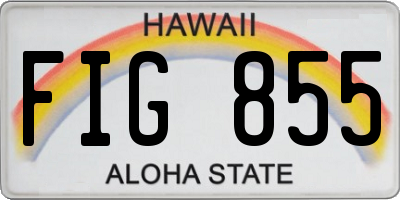 HI license plate FIG855