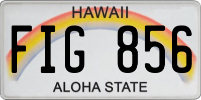 HI license plate FIG856