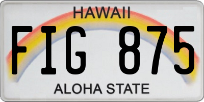 HI license plate FIG875