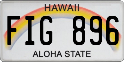 HI license plate FIG896